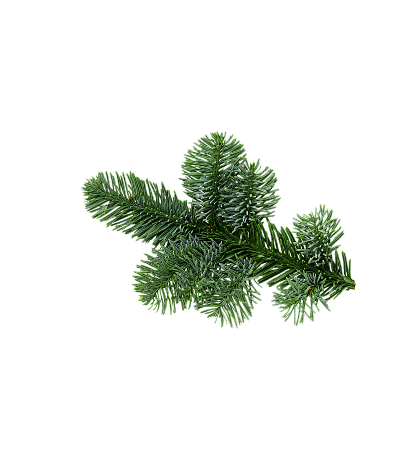 mobile_coloradotanne